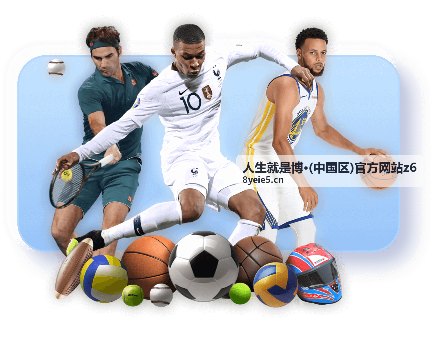官方网站z6 App端体验优化说明封面